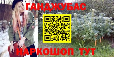 прущие грибы Будённовск