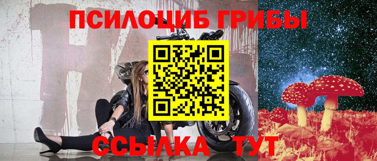 Рассказово  Псилоцибиновые грибы Psilocybe  купить   Вход с VPN 