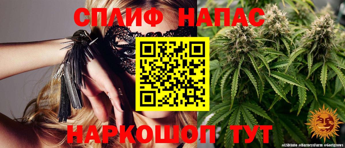 Шишки марихуана марихуана Рассказово